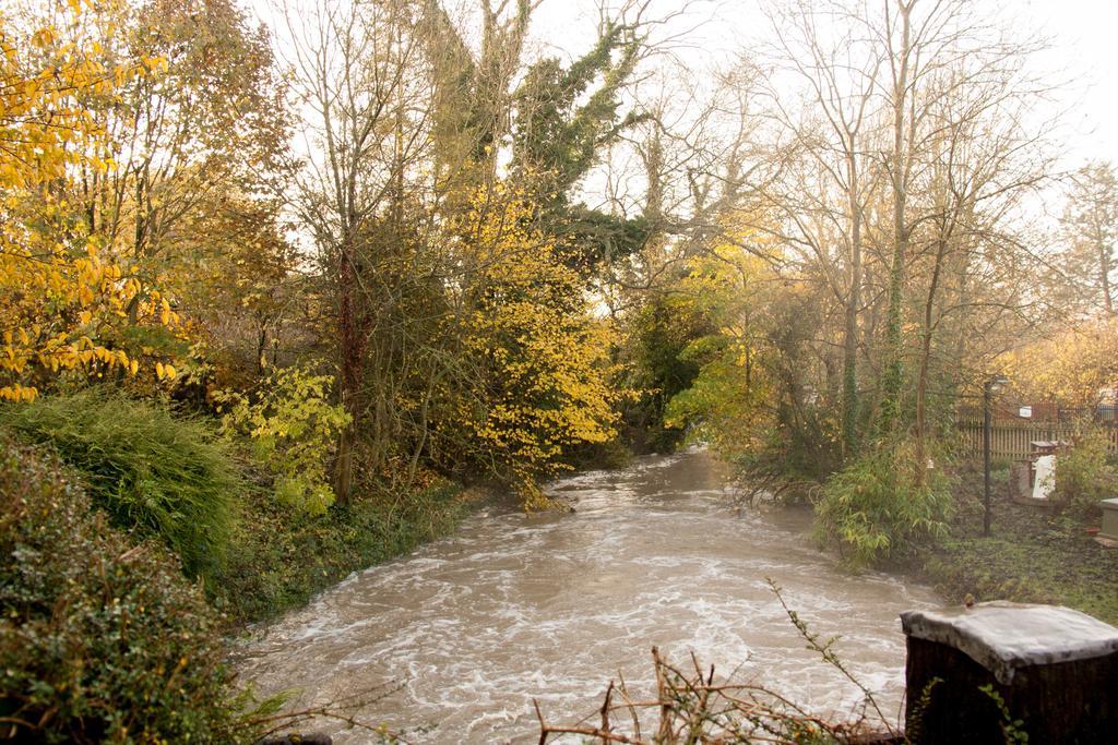 Little Hallingbury Mill Dış mekan fotoğraf